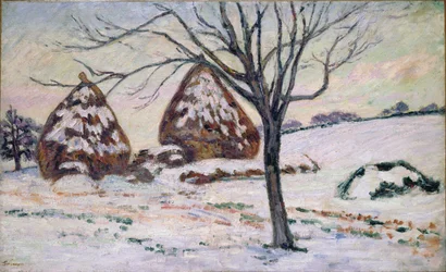 Vinterlys